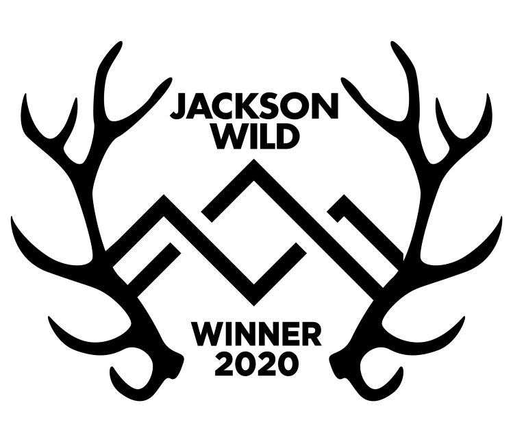 The Tiger Mafia wins a Jackson Wild Media Award